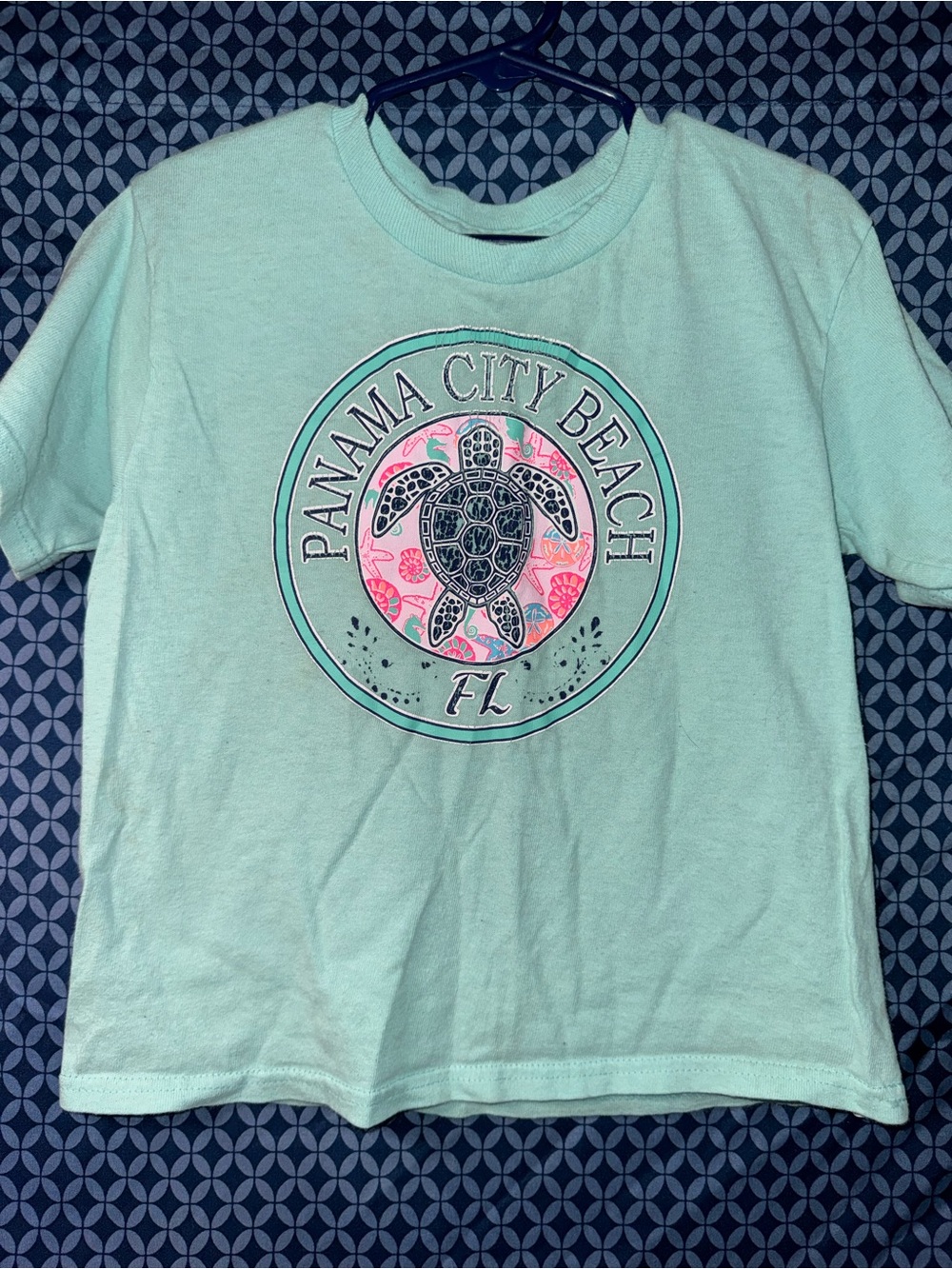 Panama City Beach Kids Turtle Graphic Tee - Mint